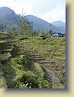 Sikkim-Mar2011 (174) * 2736 x 3648 * (5.28MB)